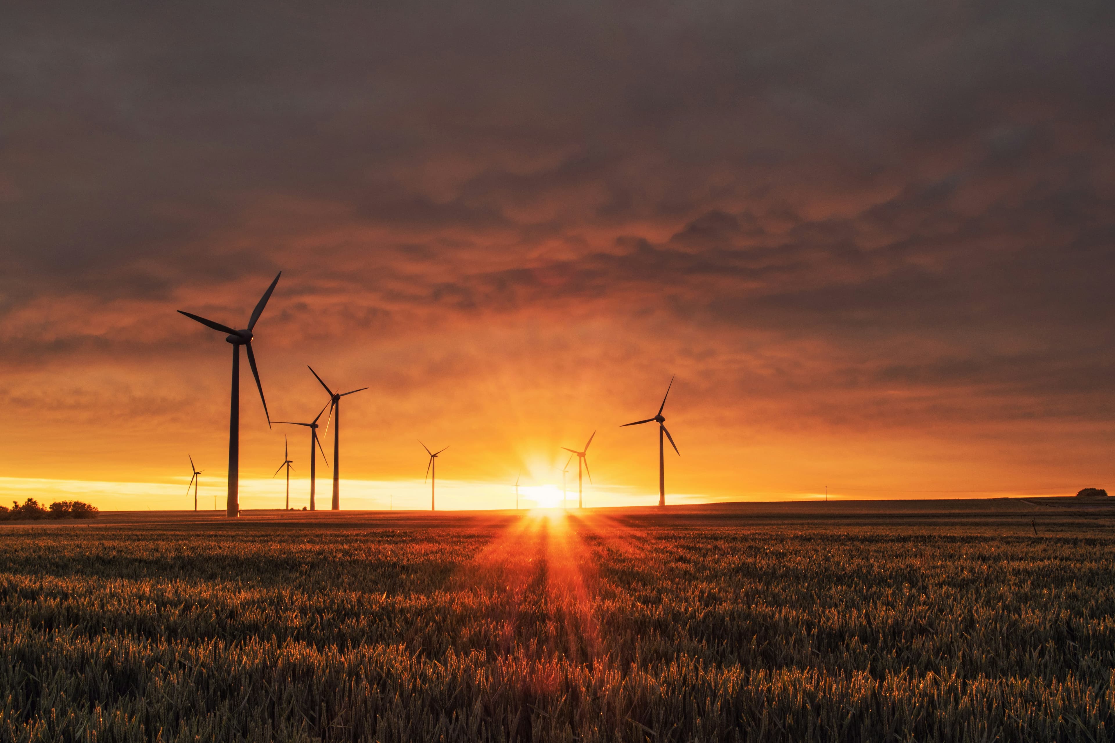 Renewable Energy Project
